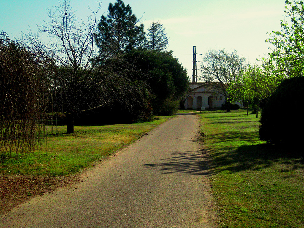 El Parque 07